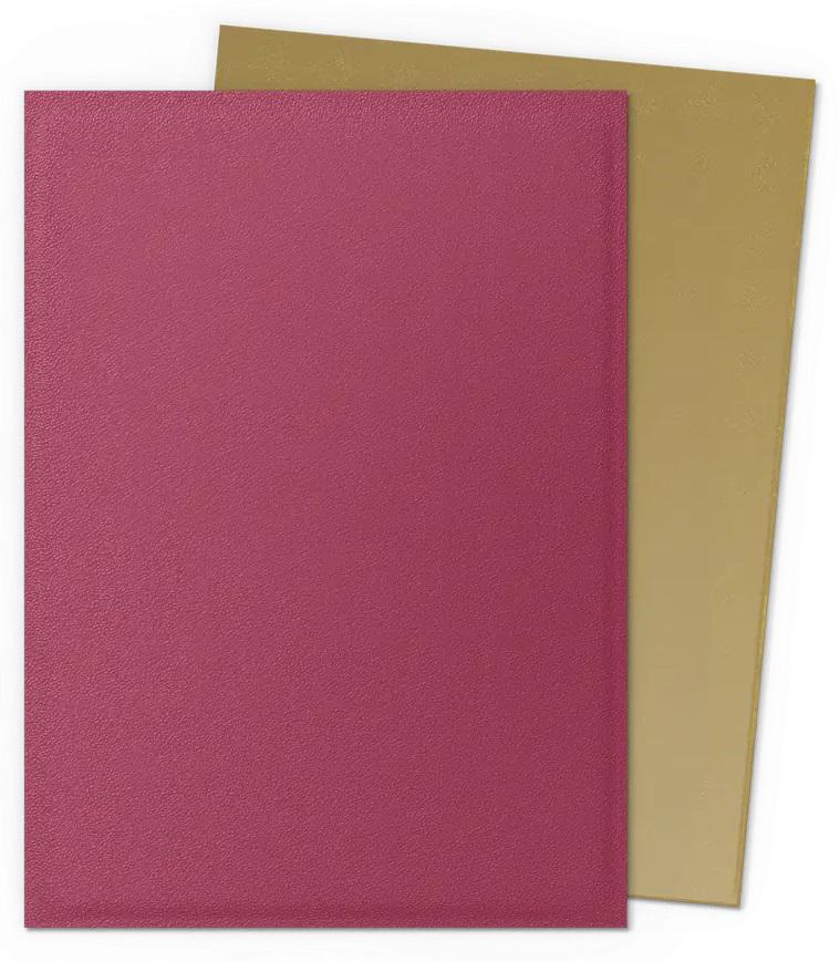 Dragon Shield Matte Dual Sleeves - Standard Size - 100ct - Special Anniversary Edition - Pomegranate/Gold - Image 2
